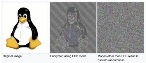 Exemple Linux Penguin