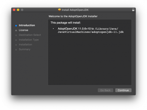 screenshot del programma di installazione in esecuzione